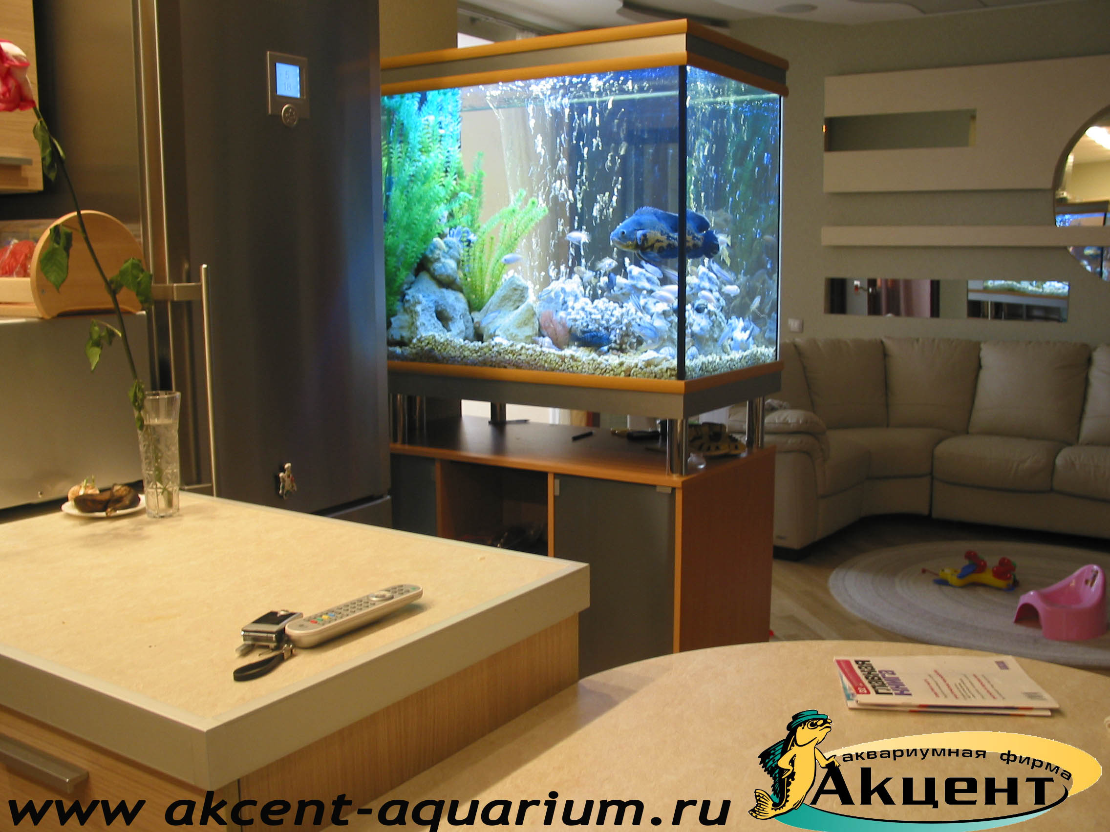 Акцент-Аквариум, аквариум 400 литров просмотровый, вид со стороны кухни